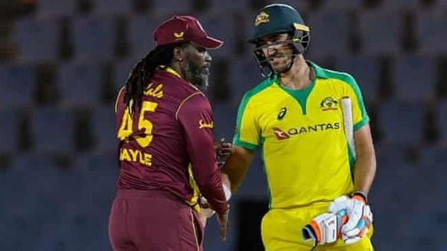 gayle and starc