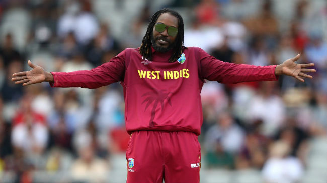 gayle backtracks on odi retirement