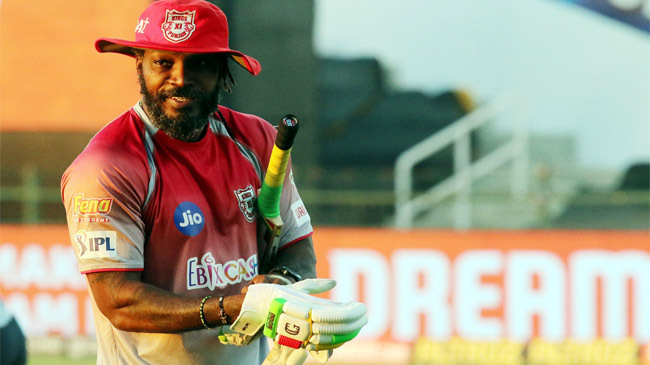 gayle ipl new