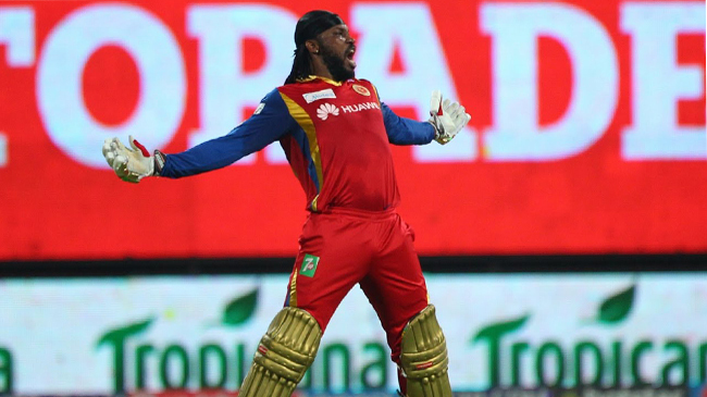 gayle rcb