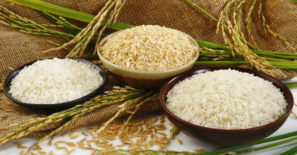 govt set to start project of 10 tk kg rice