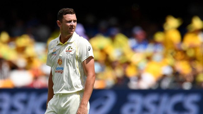 josh hazlewood test 2