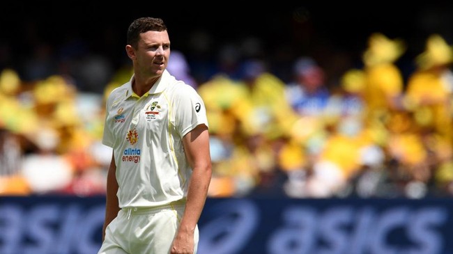 josh hazlewood test