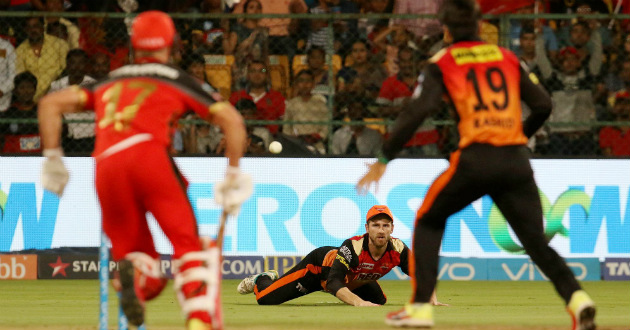 kane williamson of the sunrisers hyderabad vs rcb