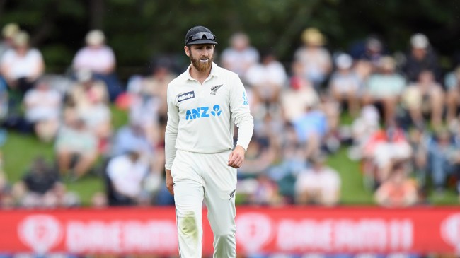 kane williamson test 3