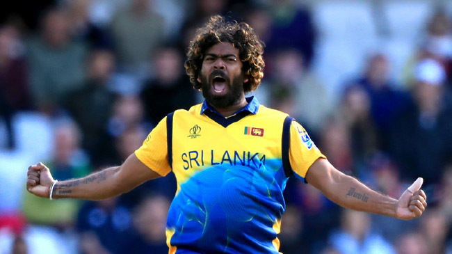 lasith malinga celebrates the wicket