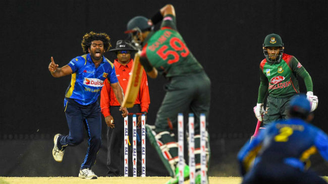 lasith malinga roars after nailing a yorker