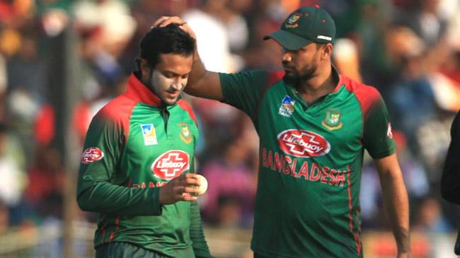 mash shakib