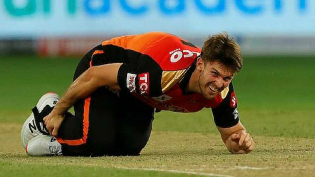 mitchell marsh