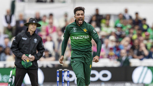 mohammad amir celebrates wicket pakistan