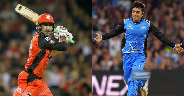 mohammad nabi and rashid khan dominating in big bash