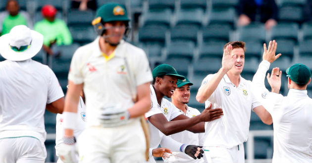 morne morkel celebrates his wicket