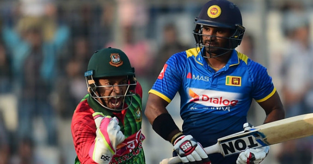 mushfiq celebrating a wicket against sri lanka