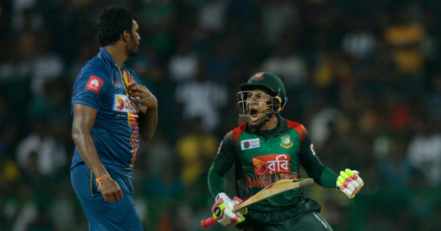 mushfiq celebrating after beating sri lanka