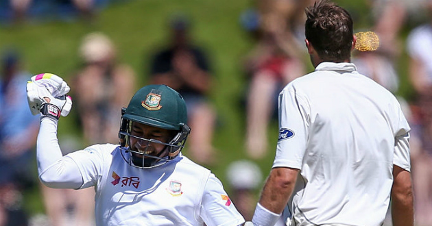 mushfiq celebrating fourth test ton against new zealand