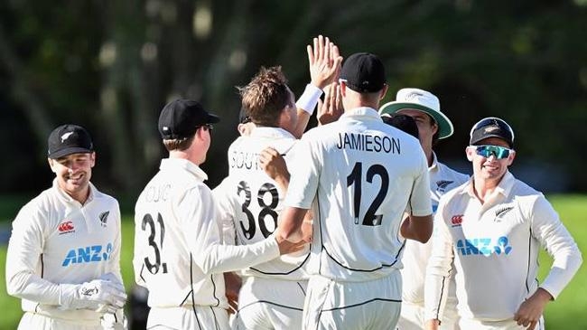 nz have won the match
