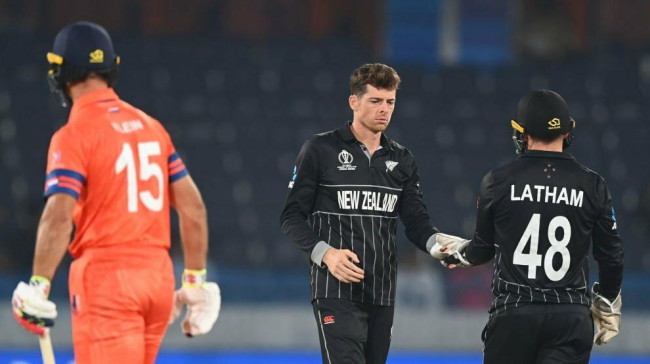 nz vs ned