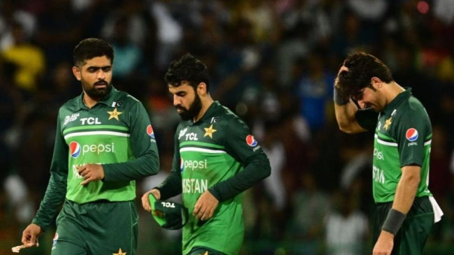 pakistan cricket 8