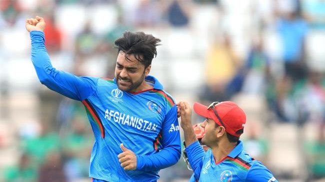 rashid khan after taking wicket