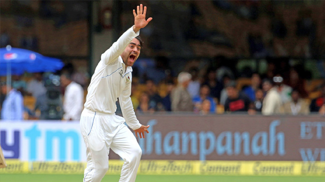 rashid khan appeals for a wicket test