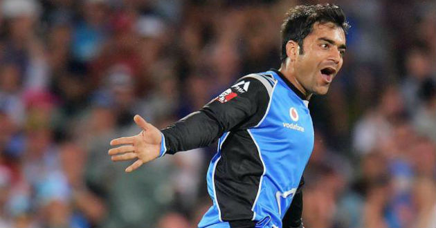 rashid khan at big bash