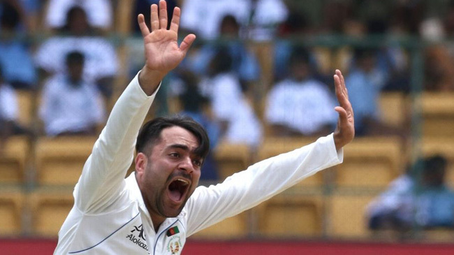 rashid khan test wicket