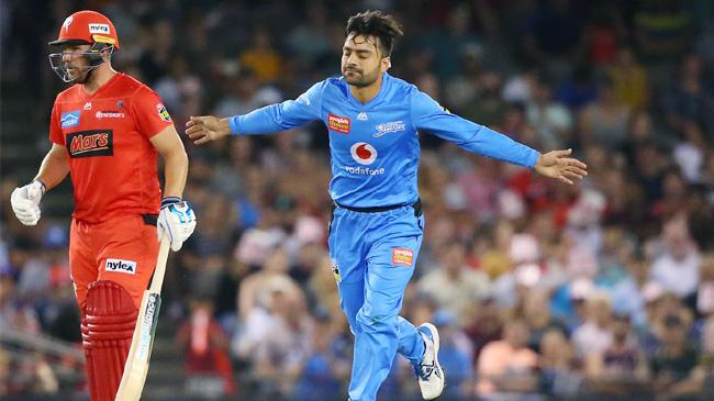 rashid khan took two wickets vs melbourne renegades