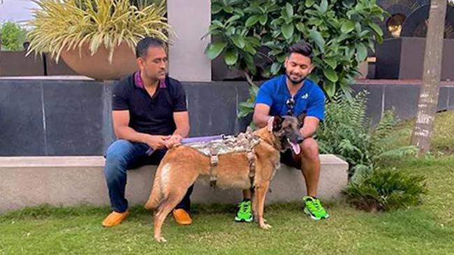 rishabh pant ms dhoni