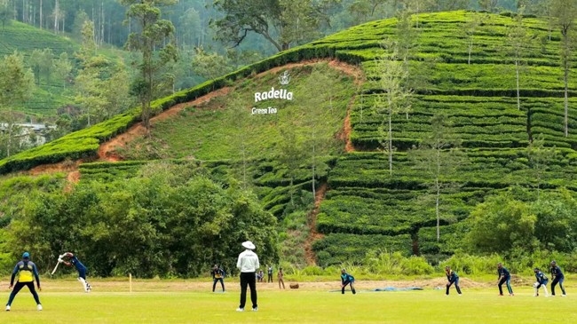 rodela cricket ground 354987.6 srilanka nz series 
