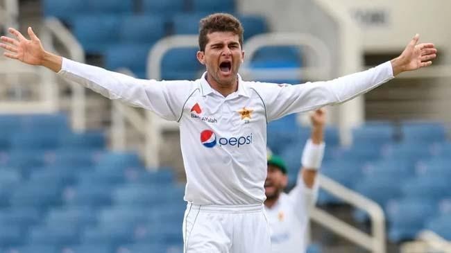 shaheen afridi