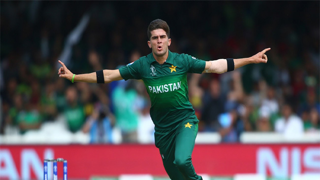 shaheen shah afridi