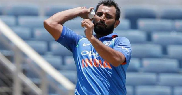 shami indian cricketer