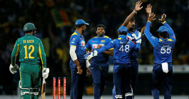 sri lanka celebrate a wicket