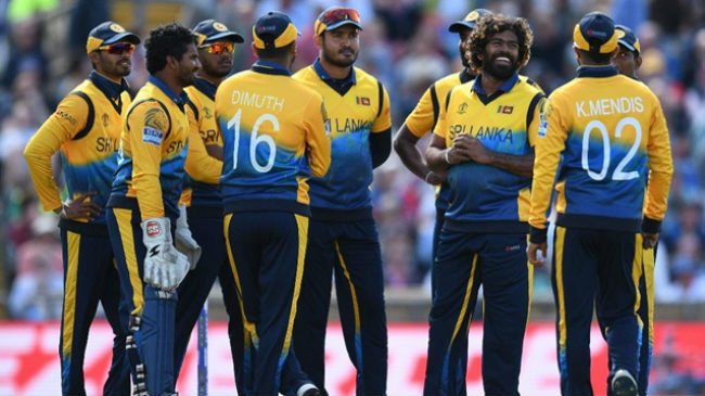 sri lanka celebrates a wicket