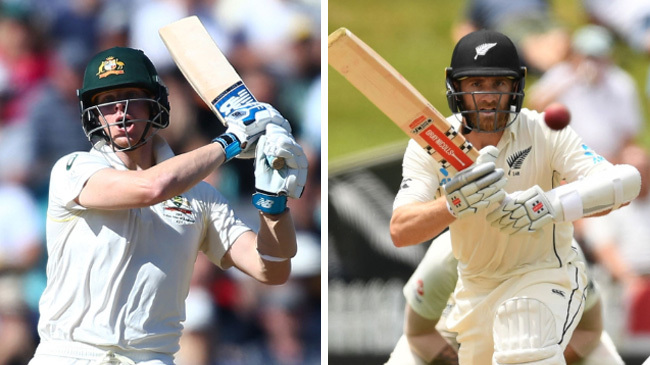 steve smith and kane williamson