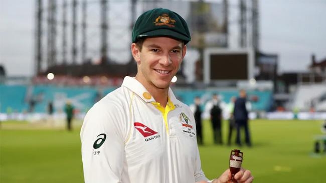 tim paine 1