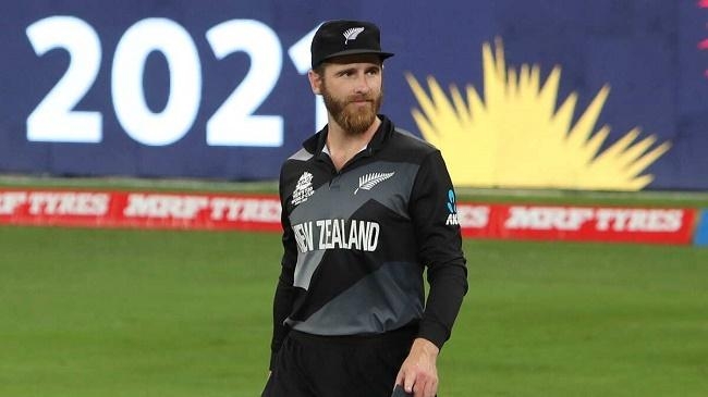 williamson t 20 world cup final