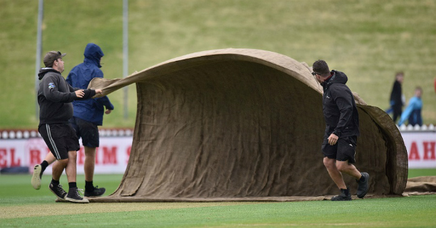 wind in wellington