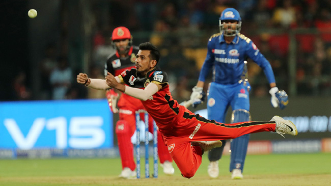 yuzvendra chahal royal challengers bangalore catch