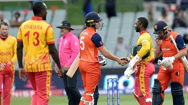 zim vs ned