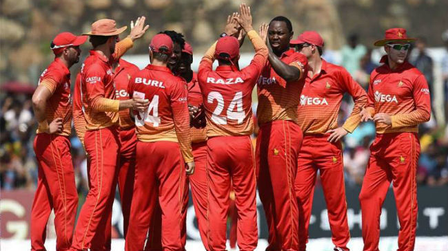 zimbabwe celebrates a wicket