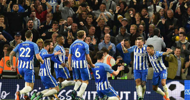 brighton celebrate their goal