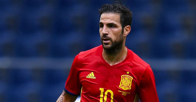 cesc fabregas spain footballer