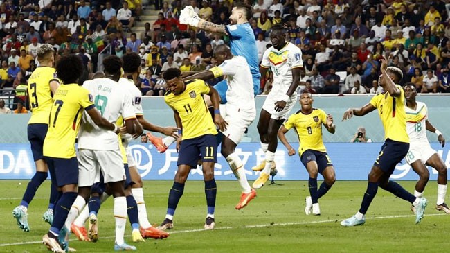 ecuador vs senegal