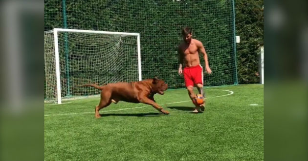 messi plays keep away with his dog