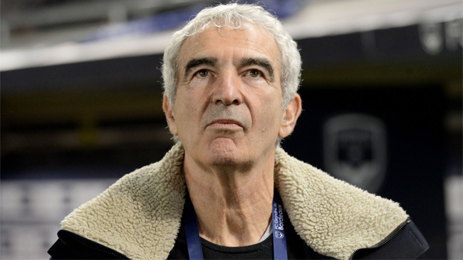 raymond domenech