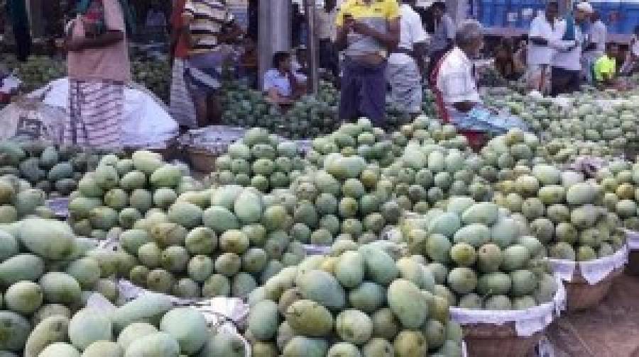 রাজশাহীতে আম সংগ্রহ ও বাজারজাতকরণের সময়সূচি ঘোষণা, ১৫ মের আগে নয়