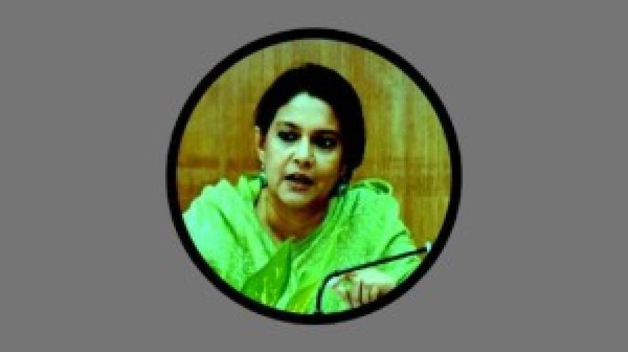 রিজওয়ানা হাসান: সরকার ক্ষমতায় নয়, দায়িত্বে নিয়োজিত