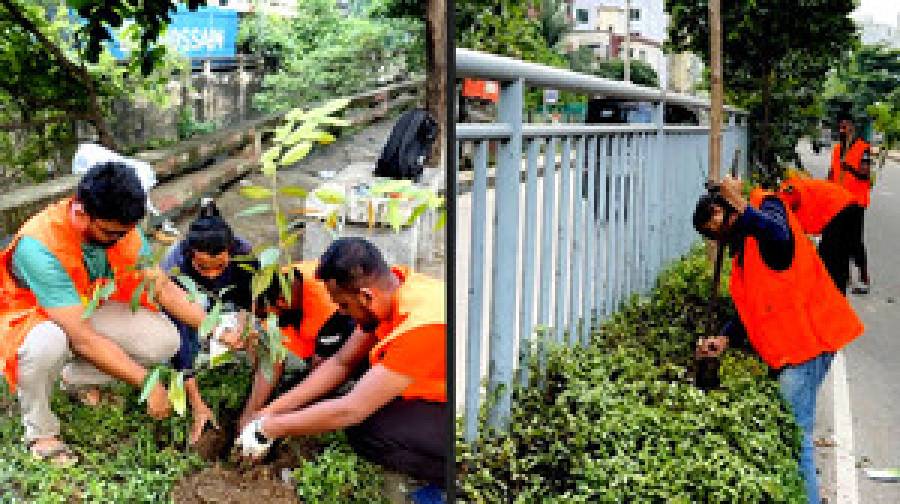 ‘একসাথে গড়ি সবুজ বাংলাদেশ’ স্লোগানে তরুণদের বৃক্ষরোপণ কর্মসূচি