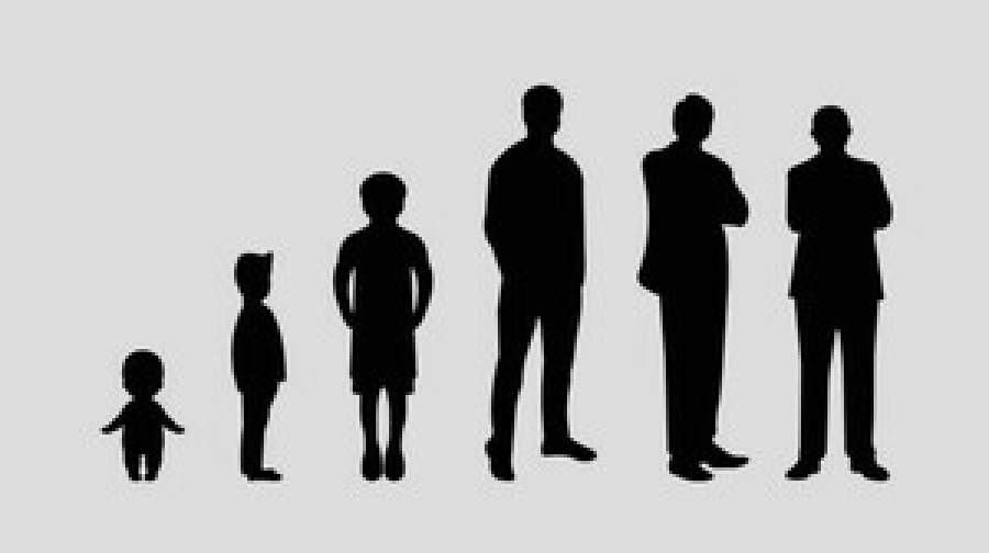 মানুষের আয়ু বাড়াতে পারে তিমির প্রোটিন, গবেষণায় নতুন দিগন্ত